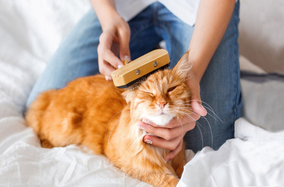 How to reduce shedding and hairballs