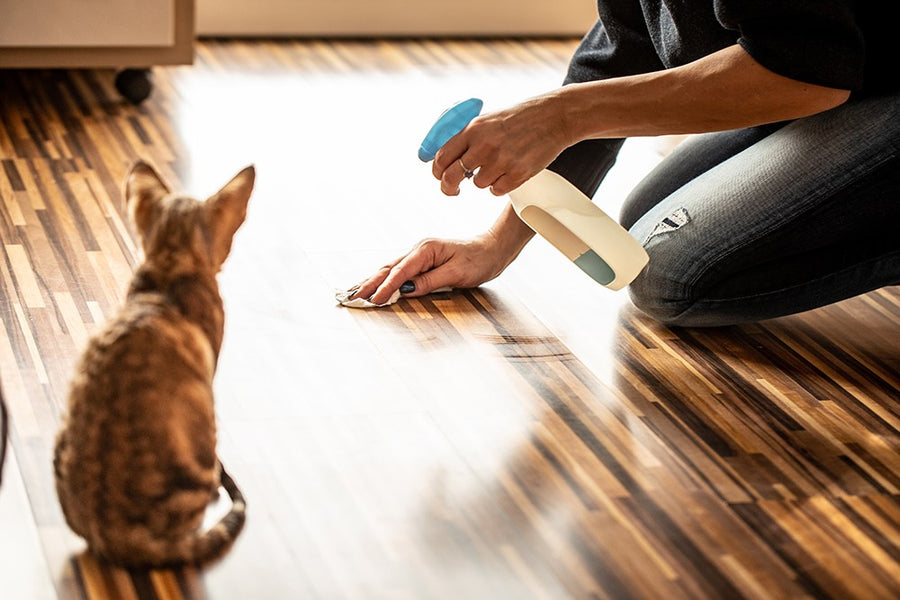 How you can stop your cat from urine spray-marking