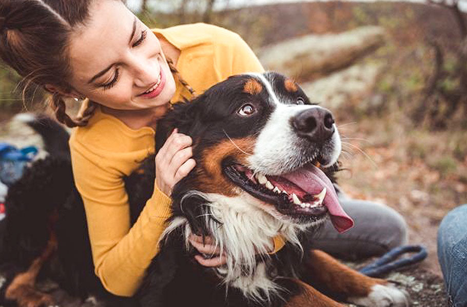 Main reasons why people are the happiest when they spend time with their dogs