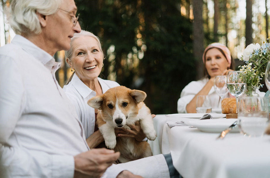 Seniors can use these suggestions for easy pet care